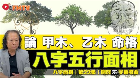 命主乙木|【八字 乙木】乙木命理大揭秘！剖析「八字乙木」的獨特性格、。